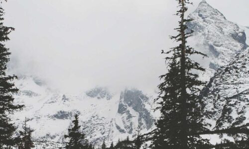 Personal injury attorney in McAllen Texas reviewing settlement value